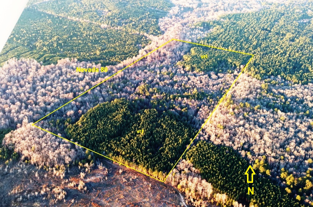 timberland for sale in arkansas,OFF